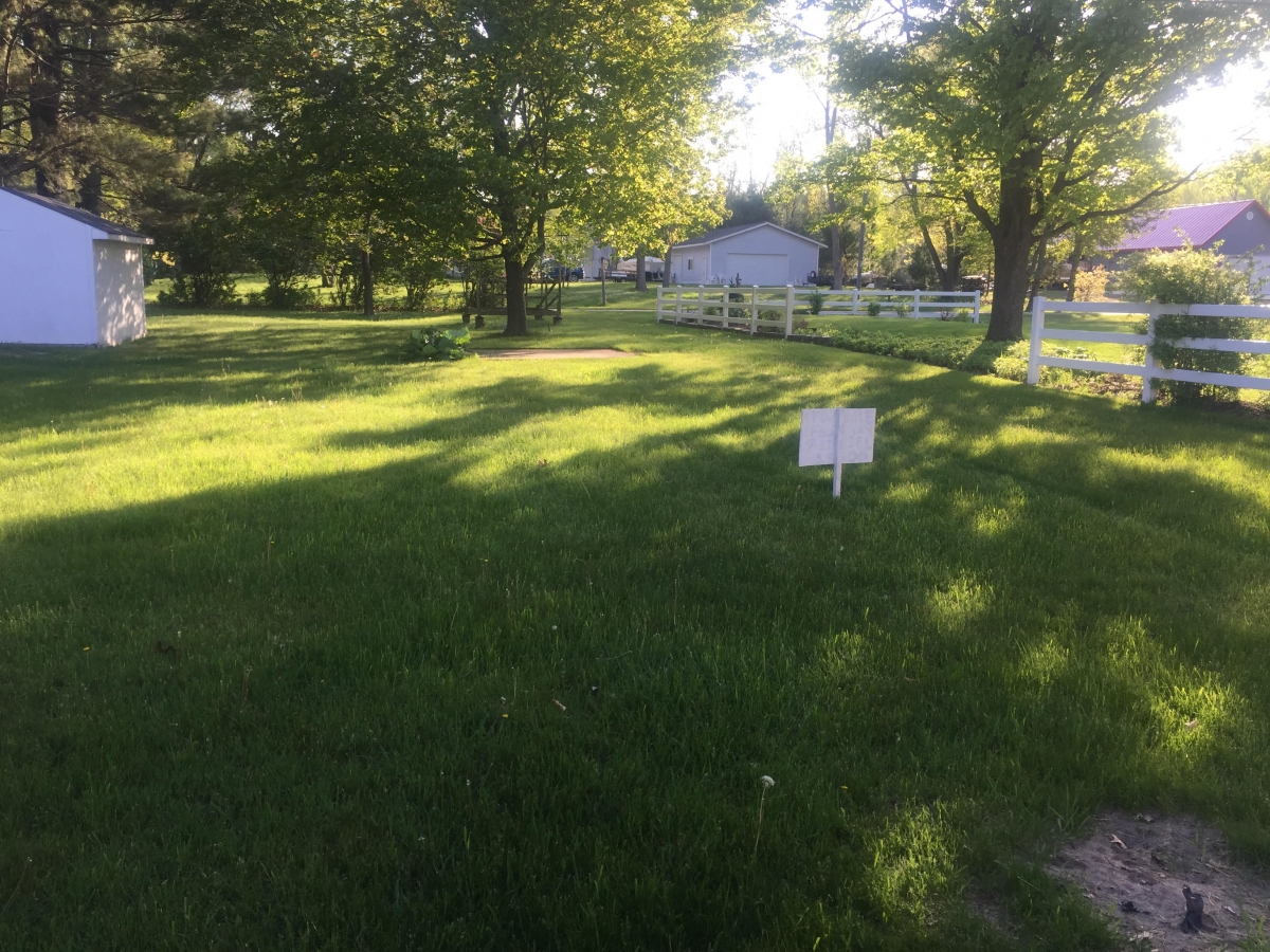 A grassy area with trees and a white sign.