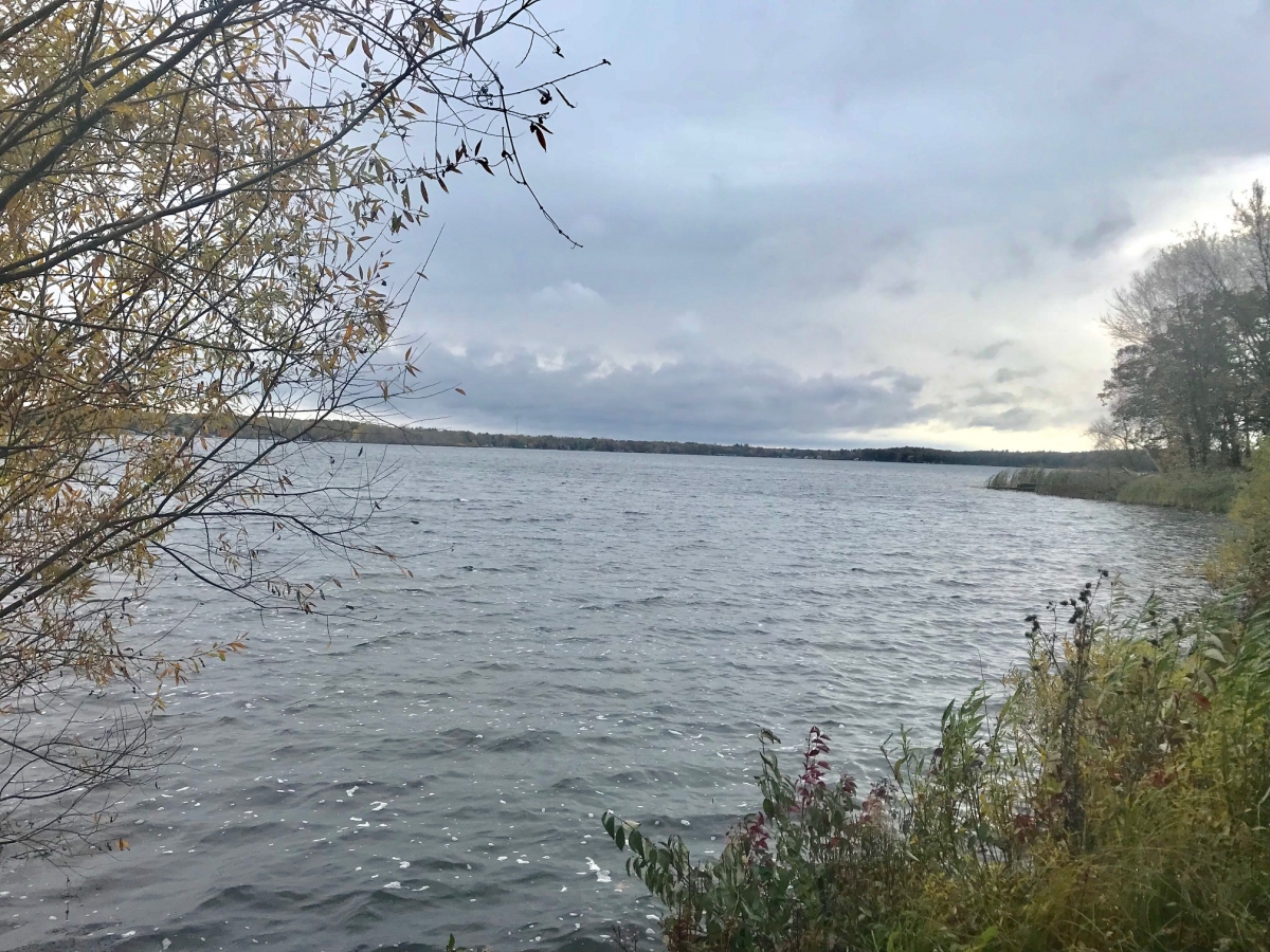 A body of water with trees and clouds in the background.