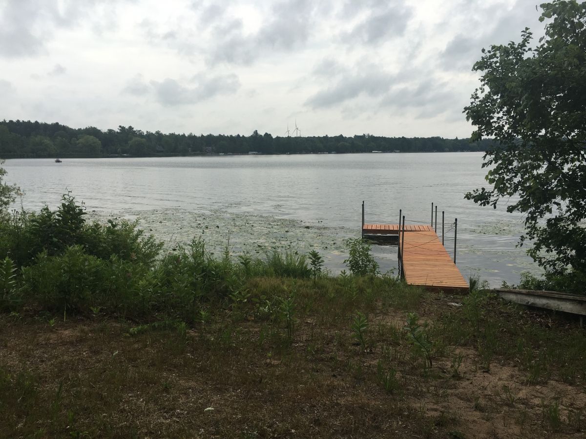 A dock on the water near some trees