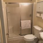 A bathroom with a toilet, tub and shower.