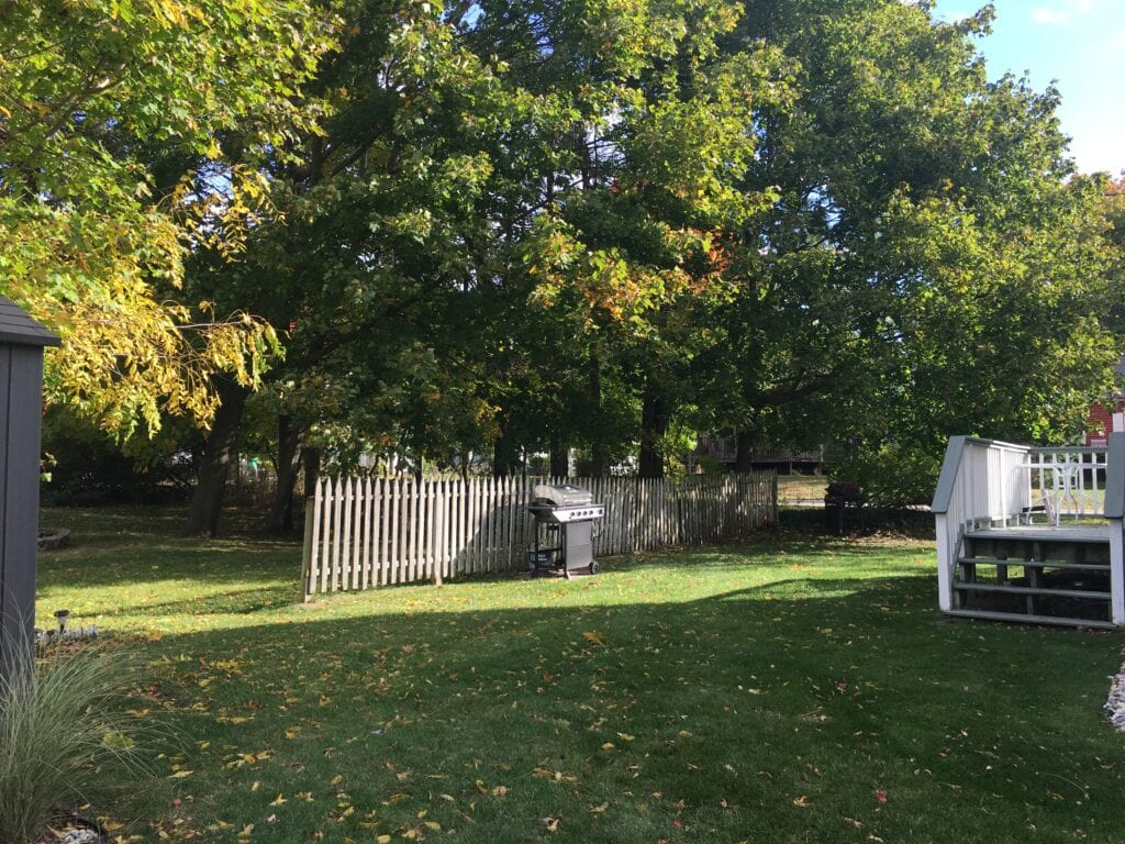 A park with trees and grass in the background