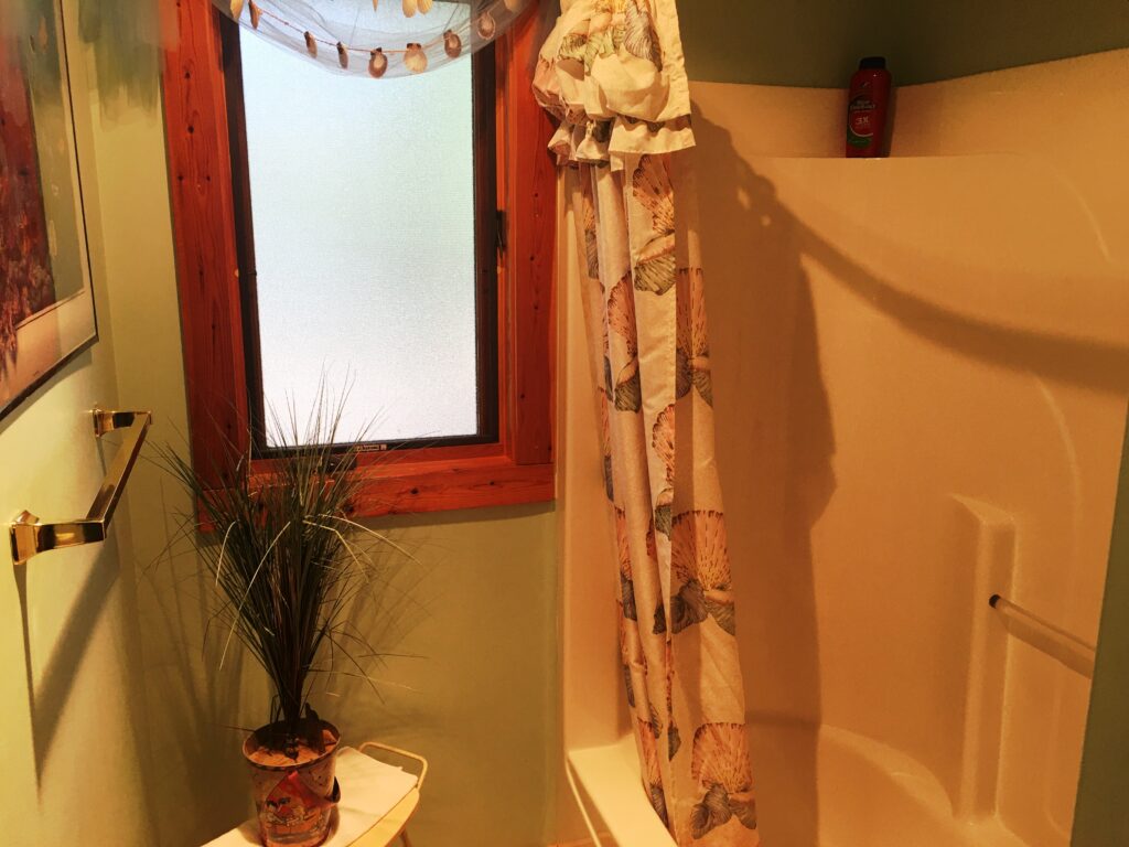 A bathroom with a plant and a mirror