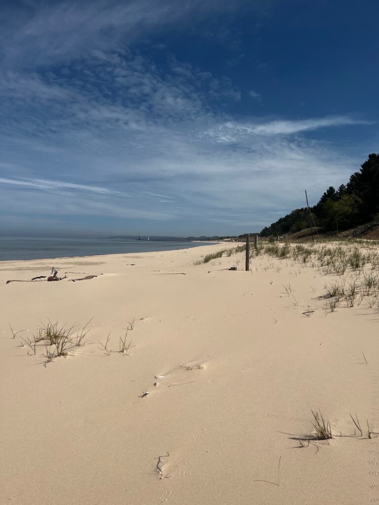 A sandy beach with trees and bushes on the side.