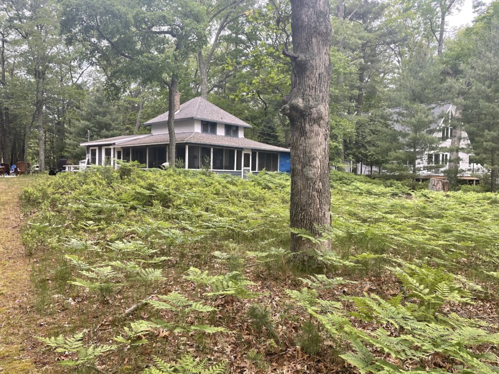 A house sitting on top of a hill near trees.