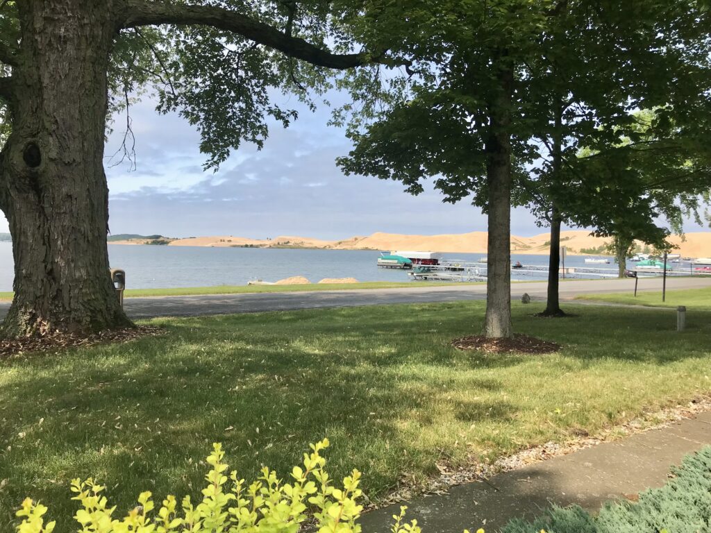 A plane is flying over the water near some trees.