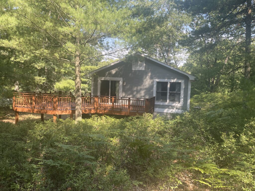 A house with a deck in the middle of some trees