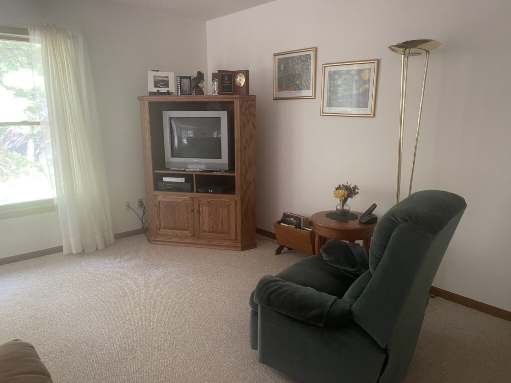 A living room with a television and couch