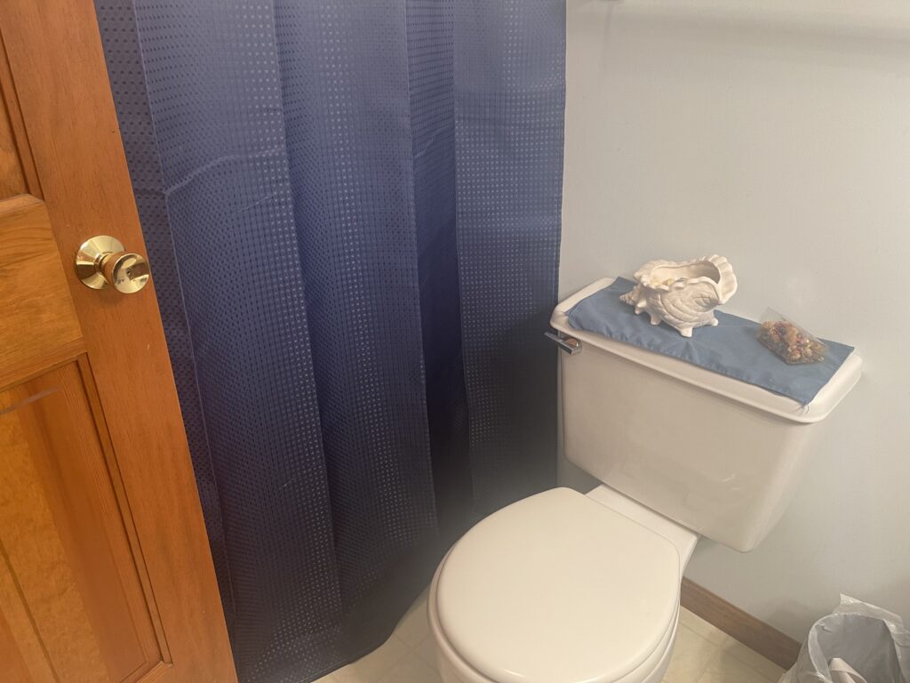 A bathroom with blue curtains and a toilet
